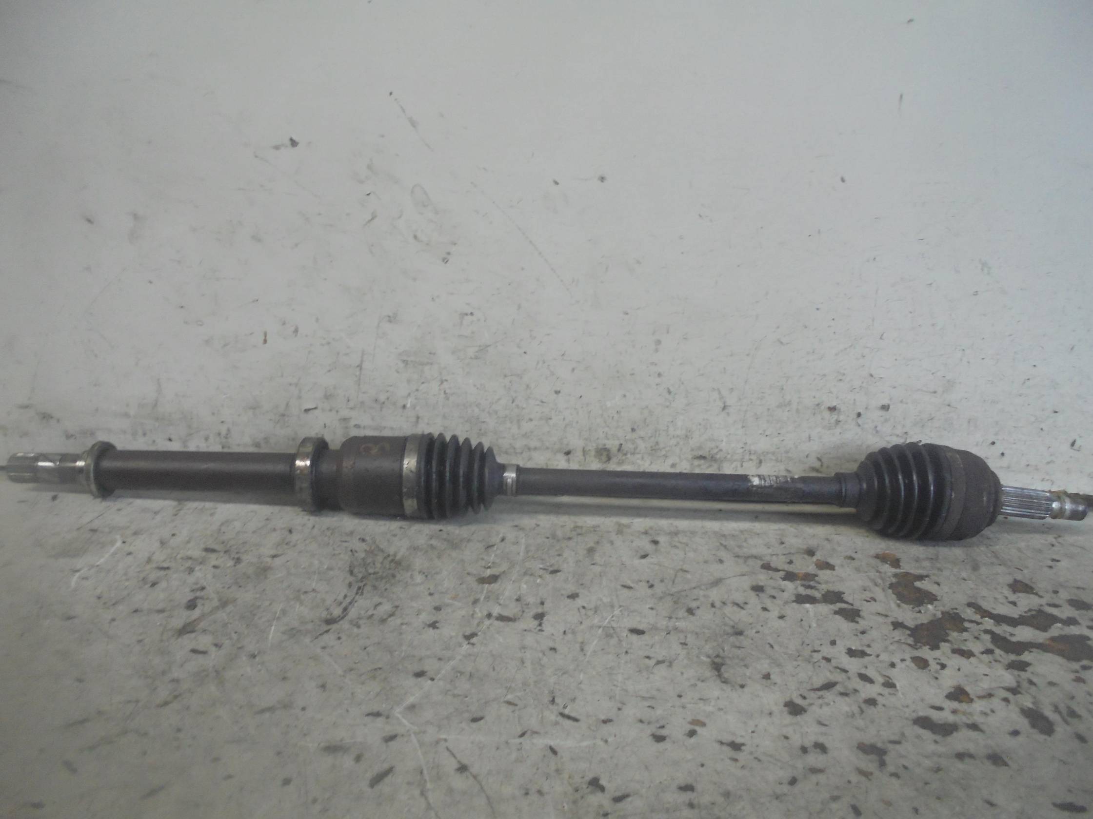 Semialbero ant. compl. dx.